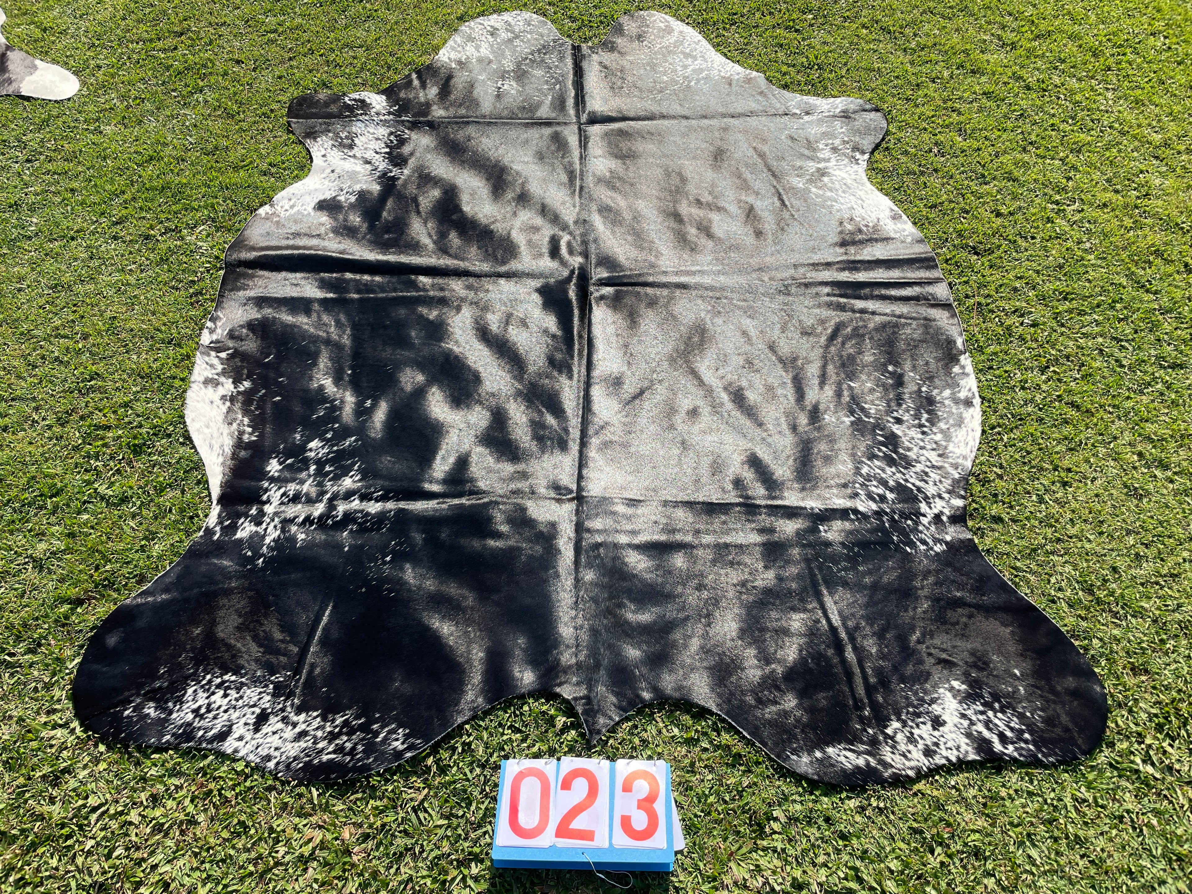 Cowhide 23 Stunning Black Speckled Edge