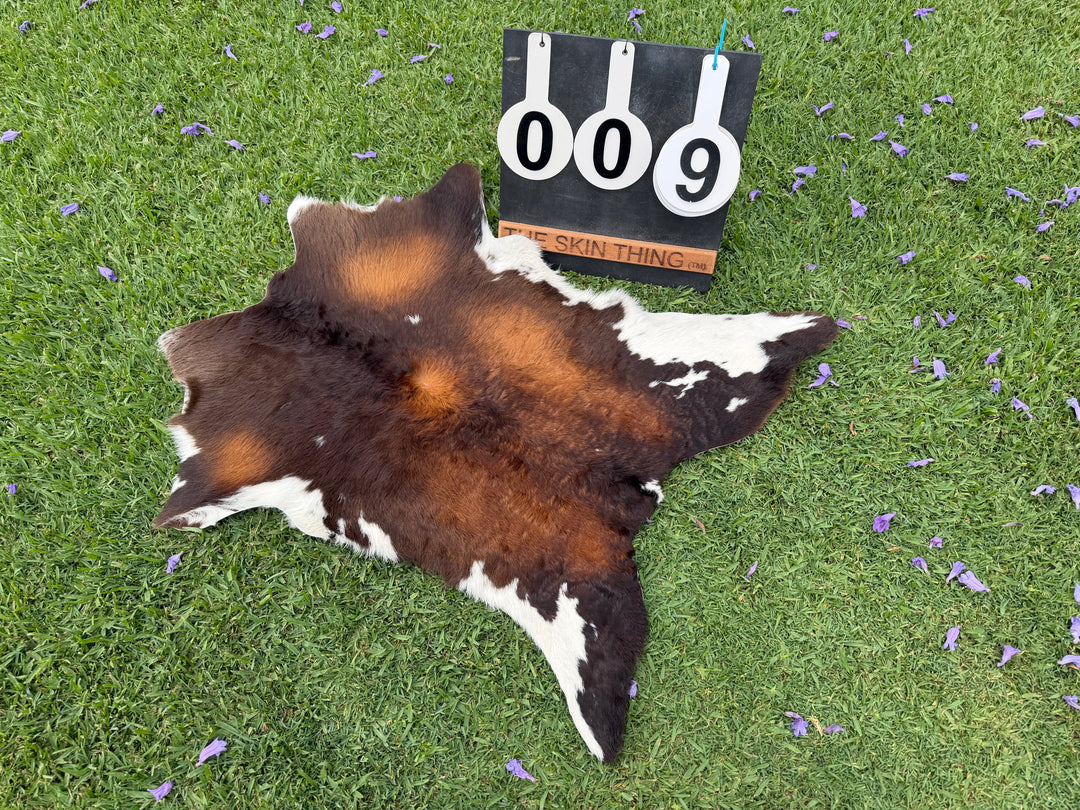 Calf Skin 09