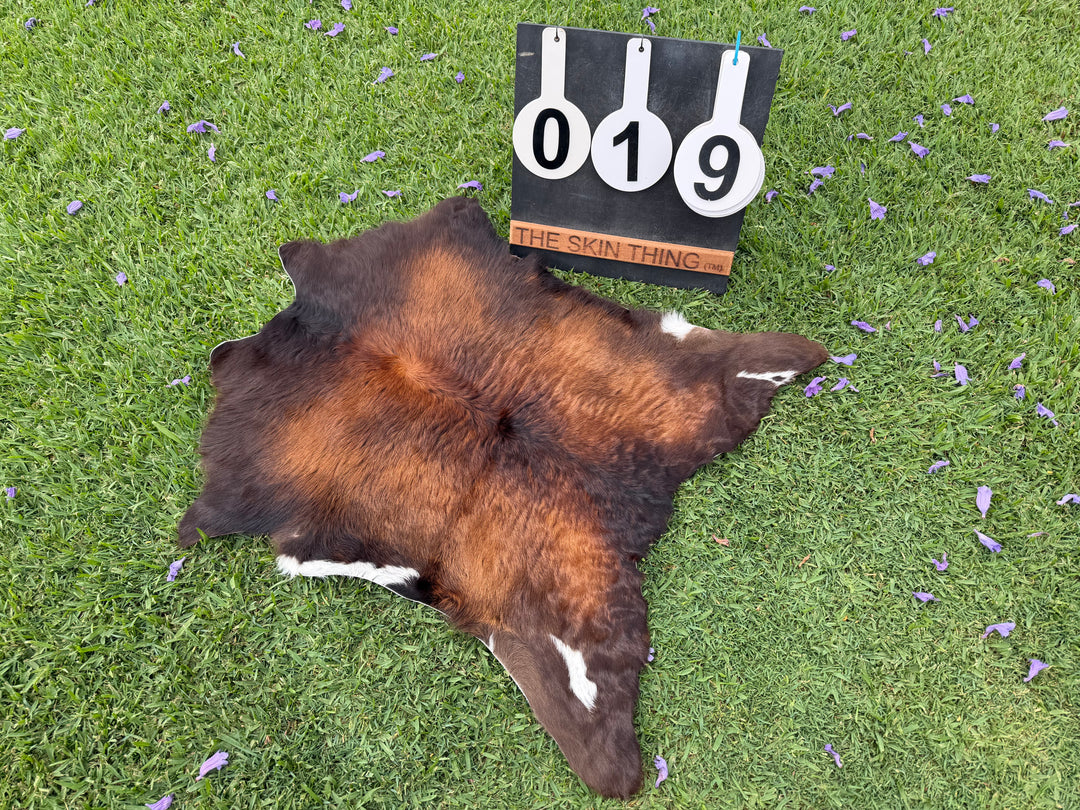 Calf Skin 19