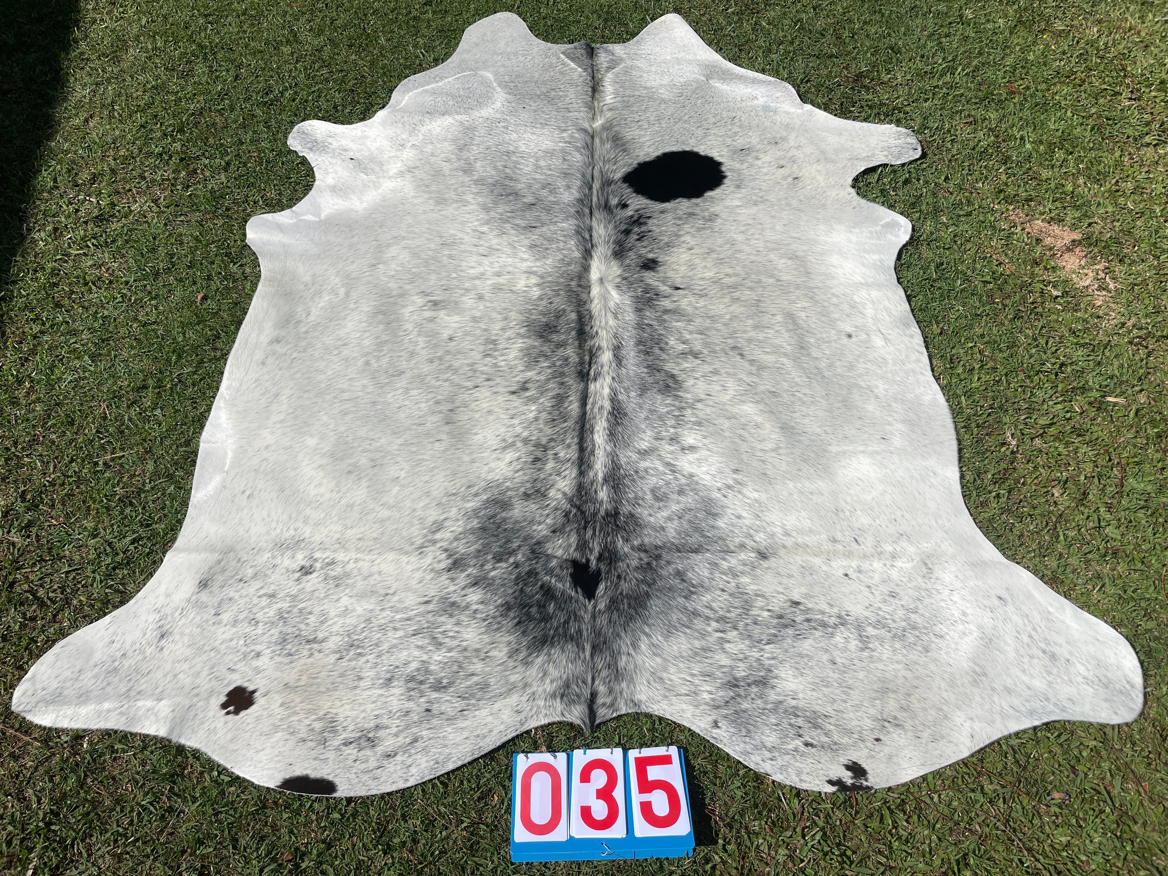 Cowhide 35 Salt & Pepper