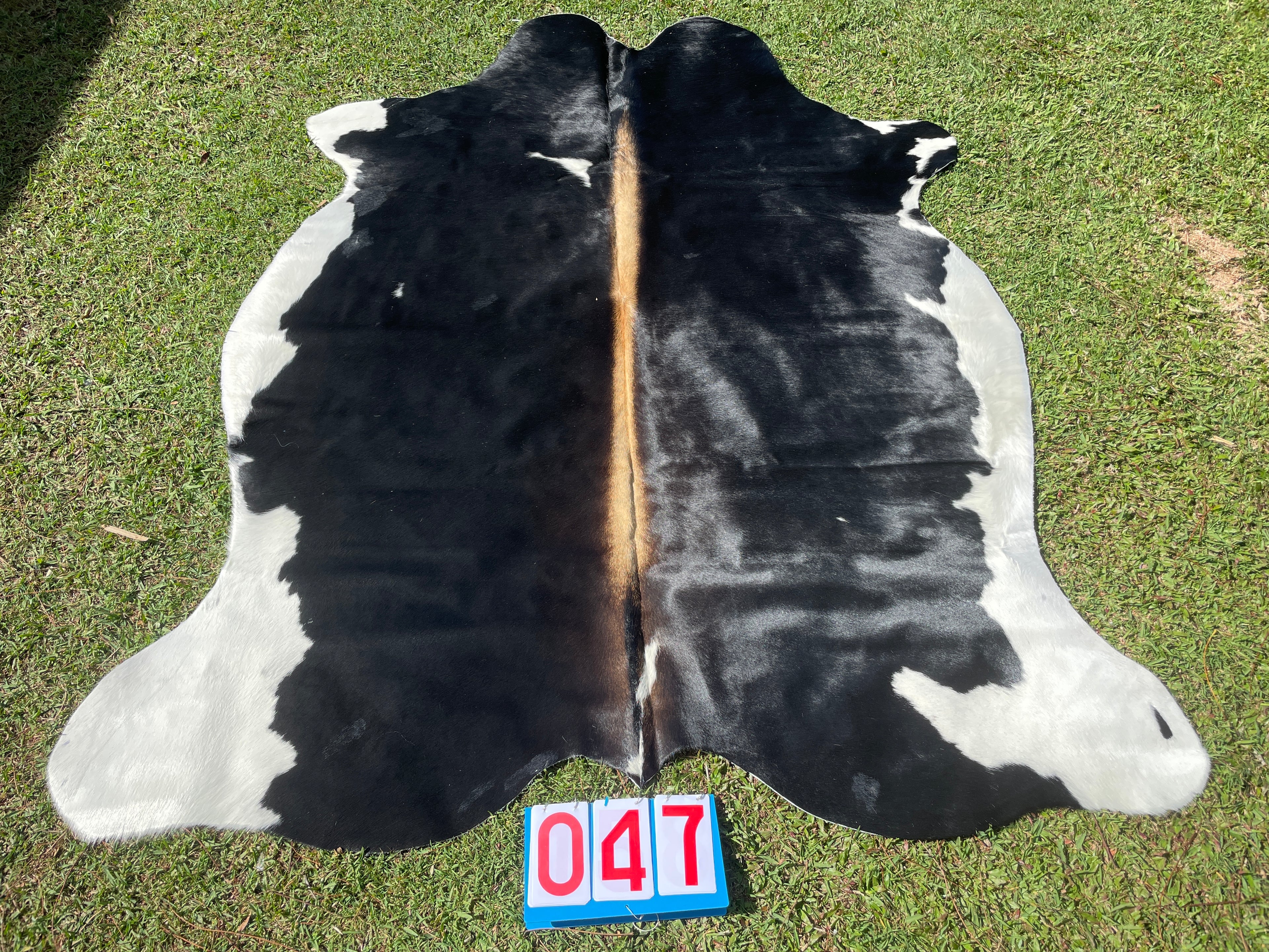 Cowhide 47 Black White Red