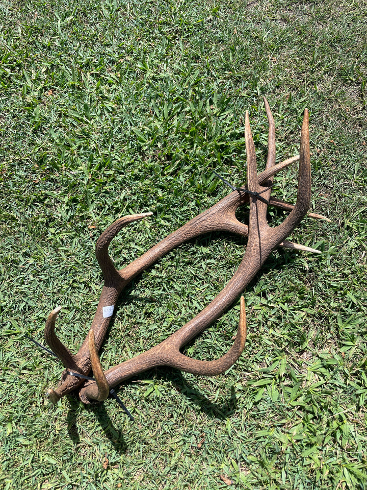 Antlers