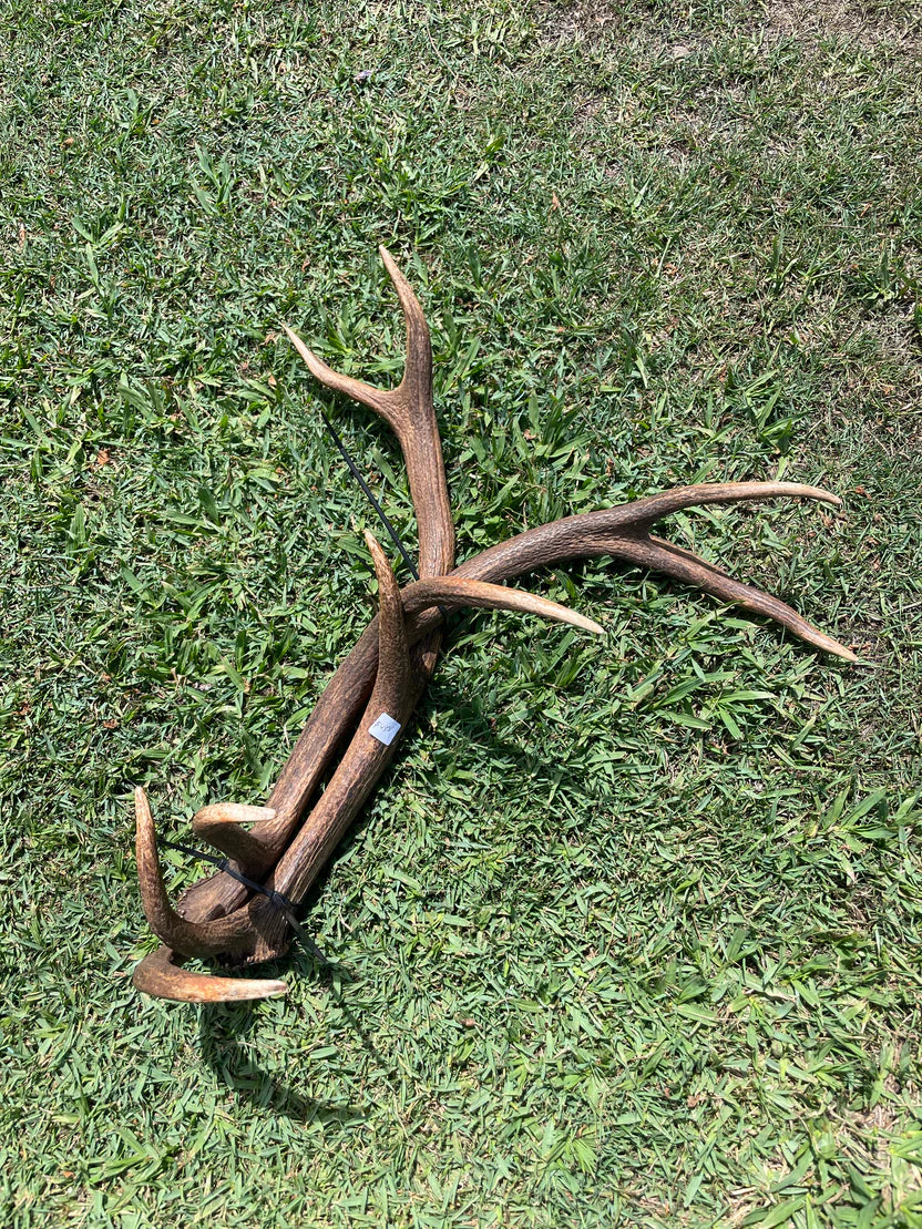 Antlers