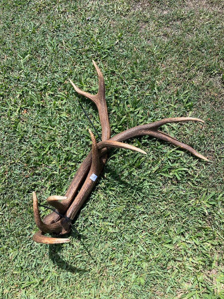 Antlers