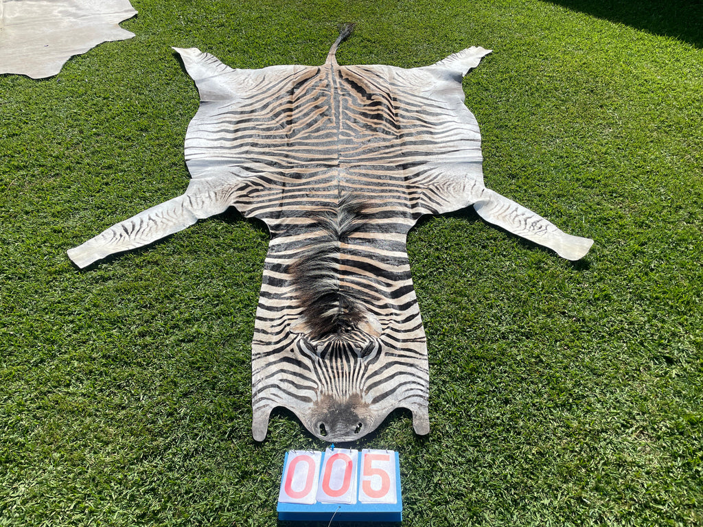 Specialty Skin - South African Zebra Skin (Real)
