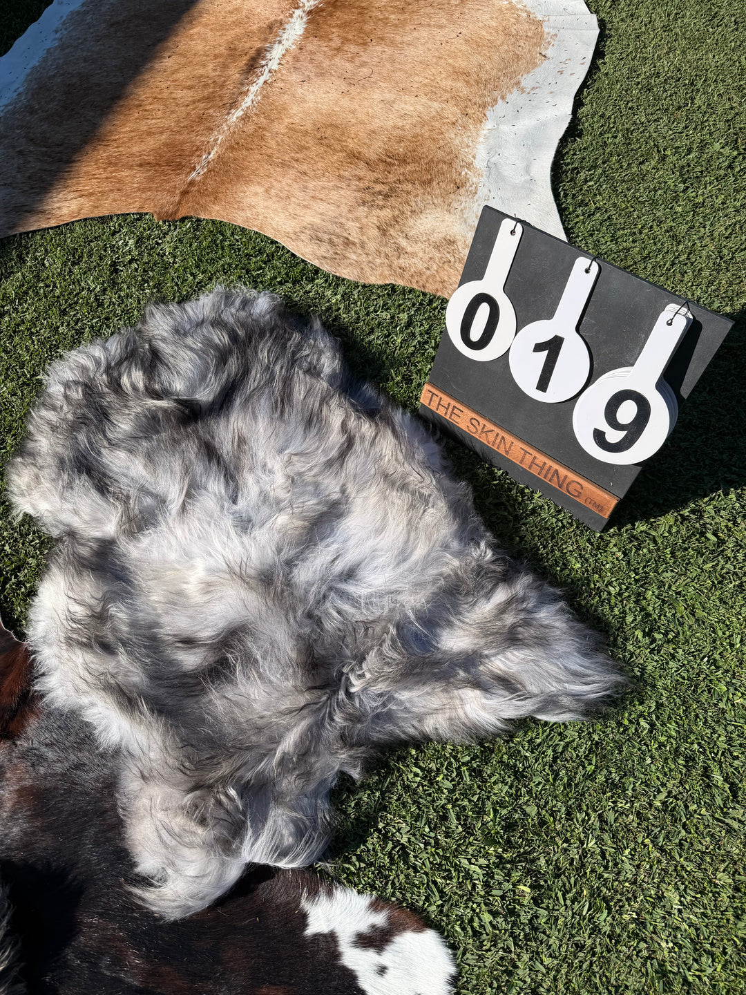 Icelandic Sheepskin - 19
