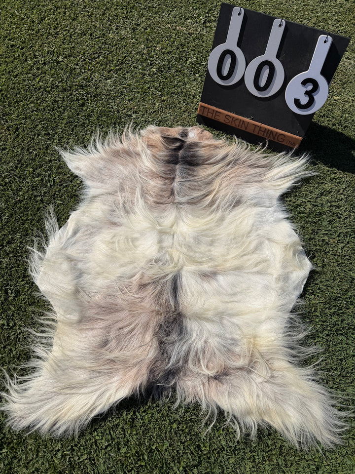 Specialty Skin - Icelandic Goat 03