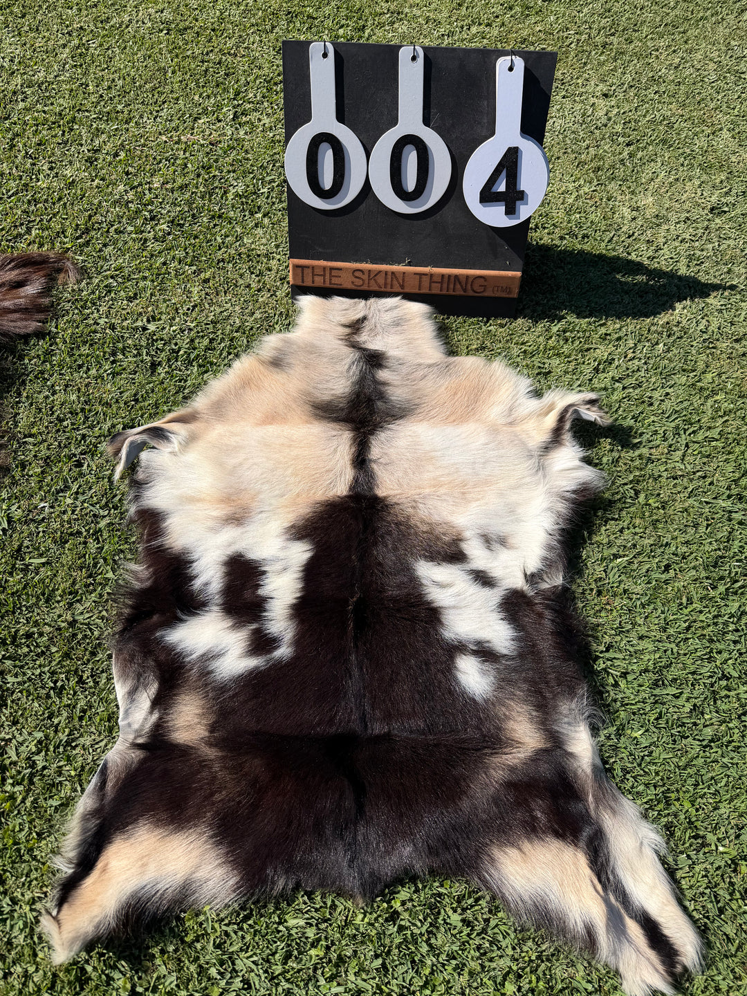 Specialty Skin - Icelandic Goat 04