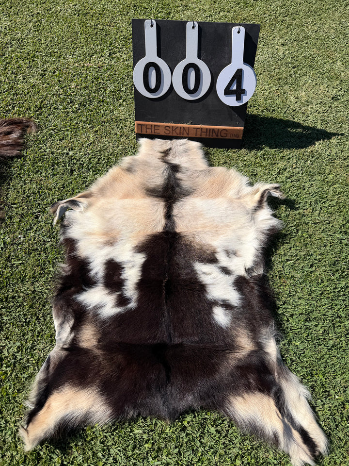 Specialty Skin - Icelandic Goat 04