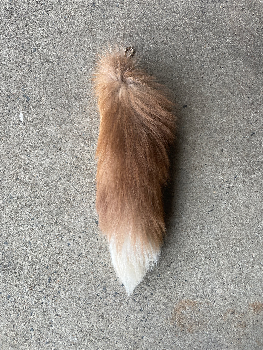 Specialty Skin - Fox Skins