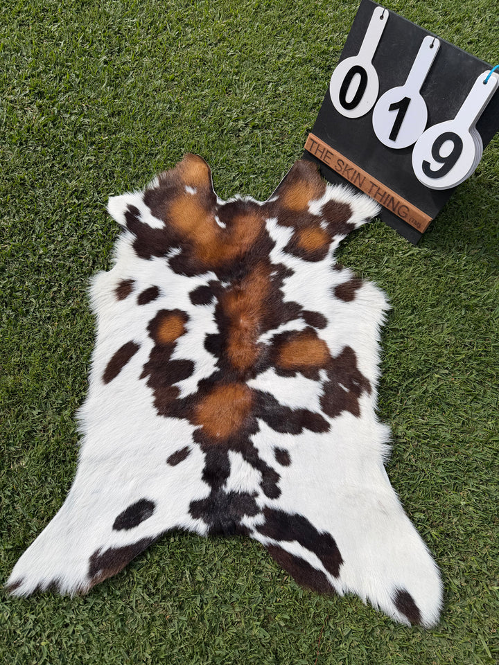 Cowhide - Calf Skins