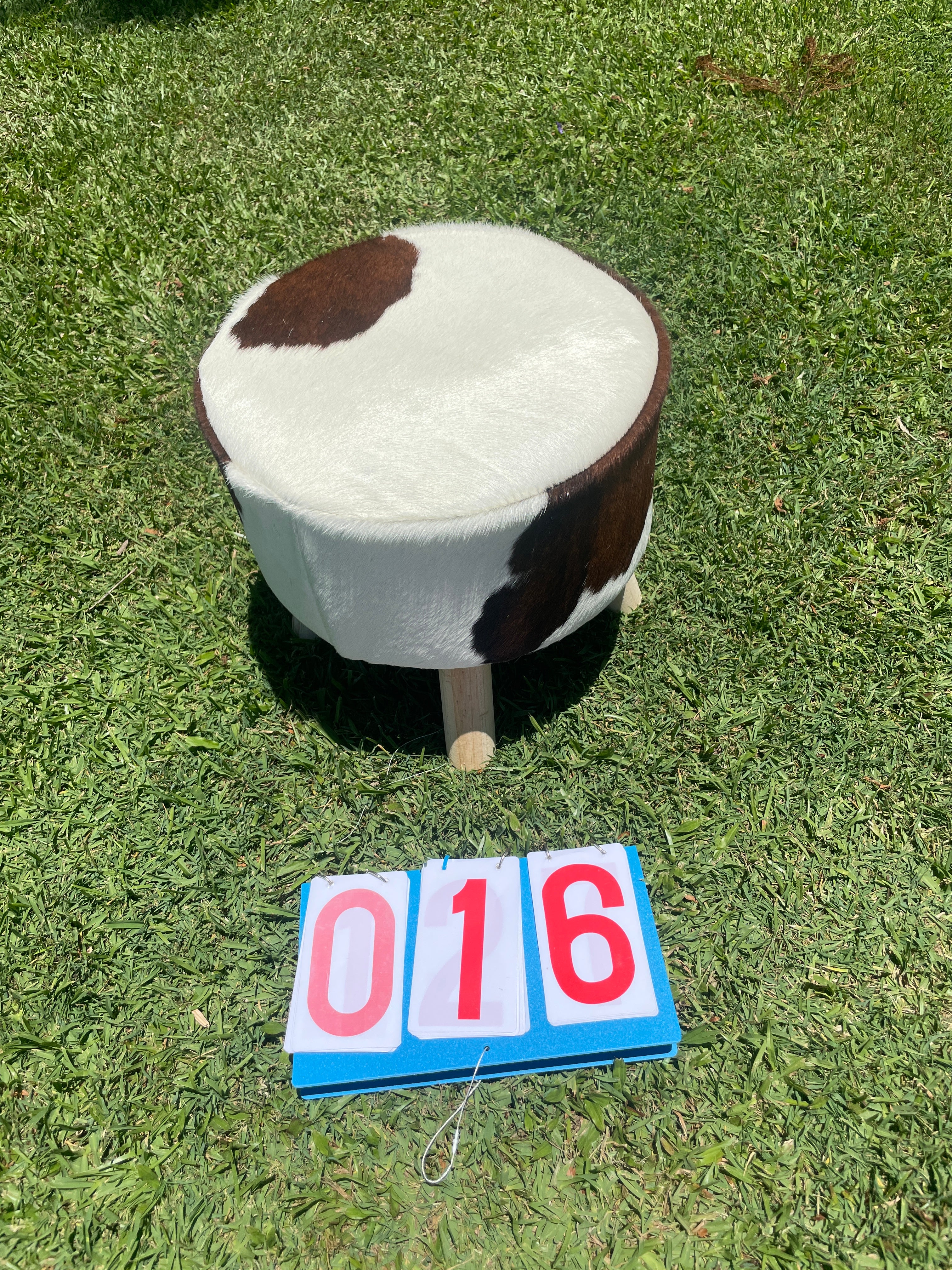 Cowhide Footstool 16