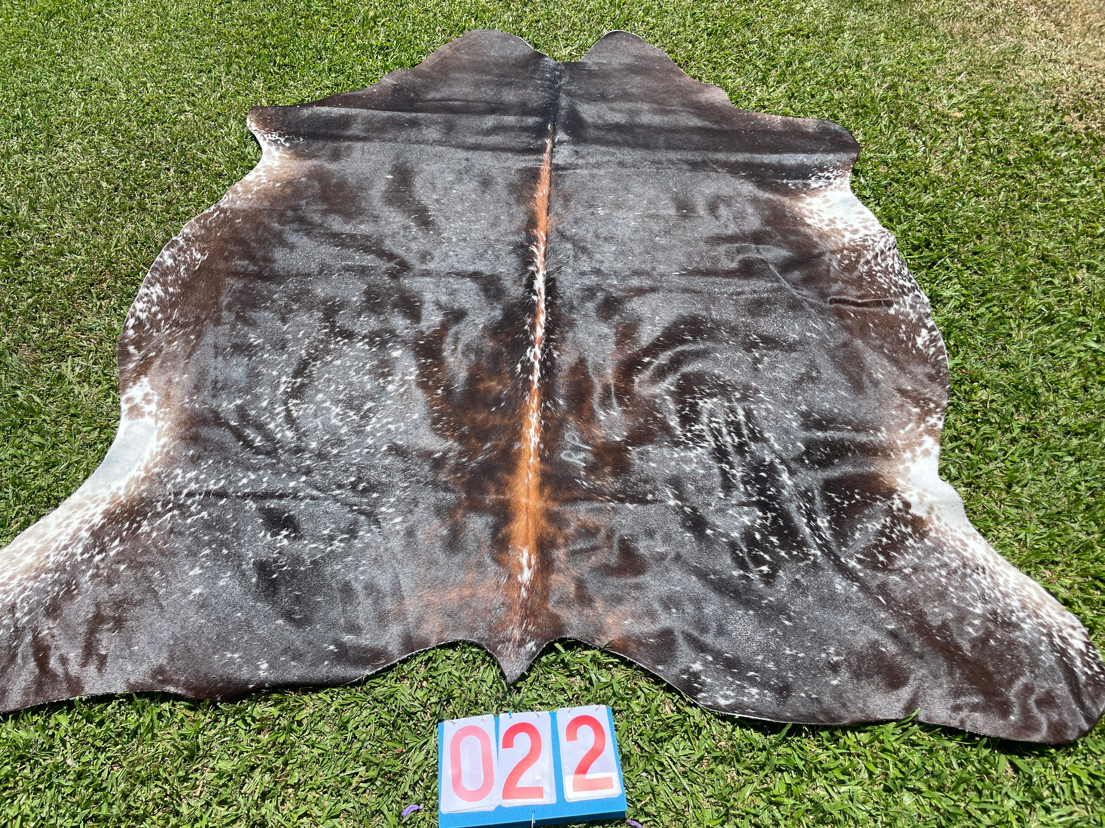 Cowhide 22 Stunning Reddish Black & White
