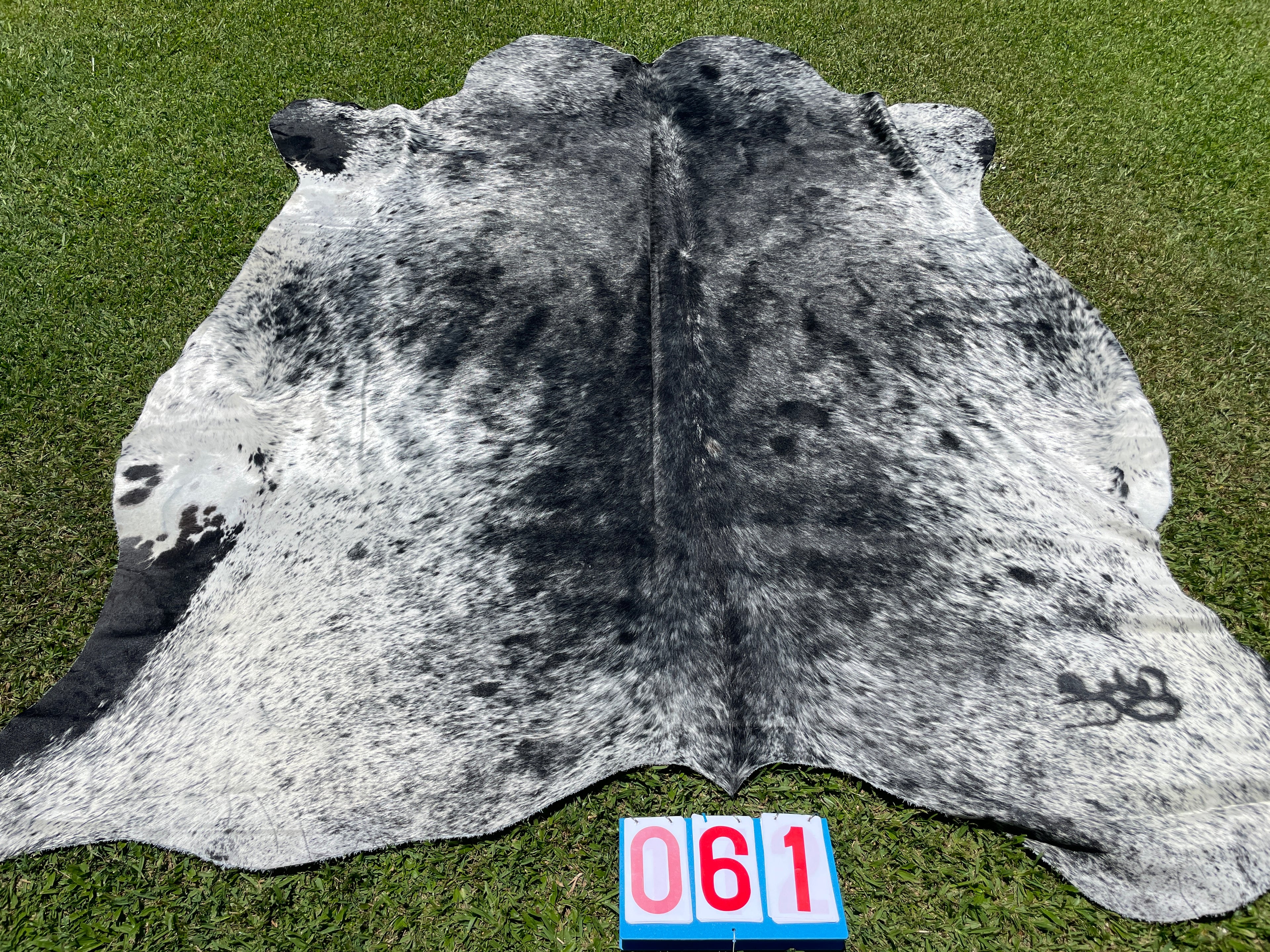 Cowhide 61 Grey Tone Salt & Pepper