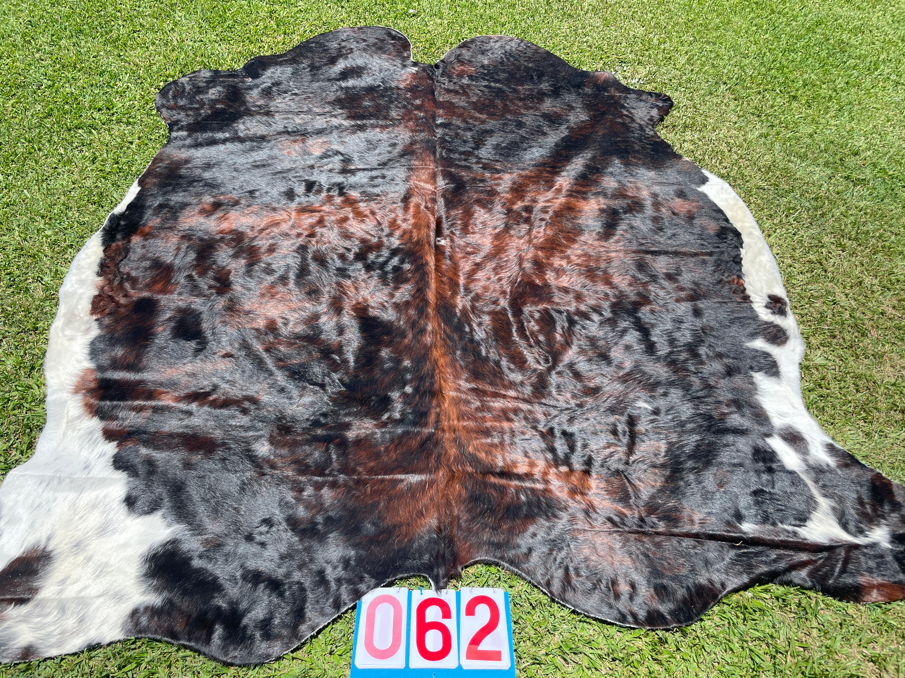 Cowhide 62 Dark Brindle and White