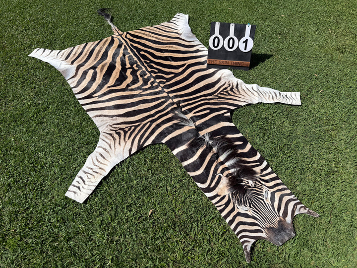 001 Specialty Skin - South African Zebra Skin (Real)