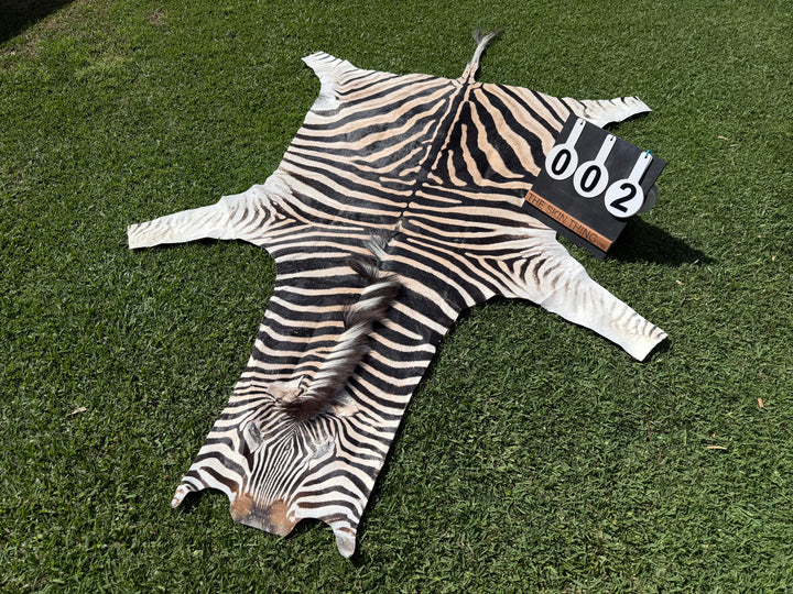 002 Specialty Skin - South African Zebra Skin (Real)