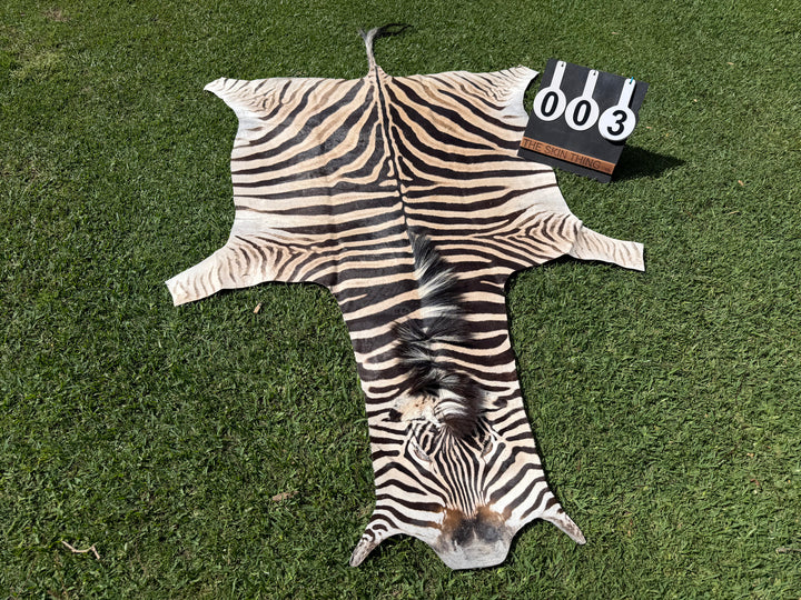 003 Specialty Skin - South African Zebra Skin (Real)