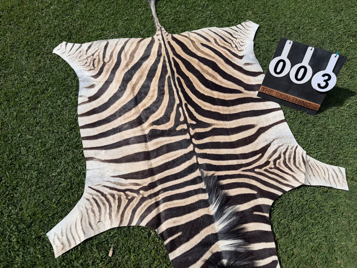 003 Specialty Skin - South African Zebra Skin (Real)