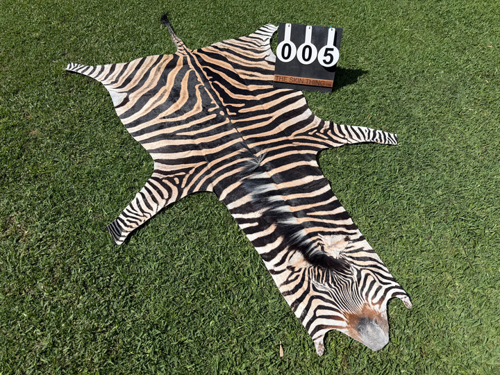 005 Specialty Skin - South African Zebra Skin (Real)