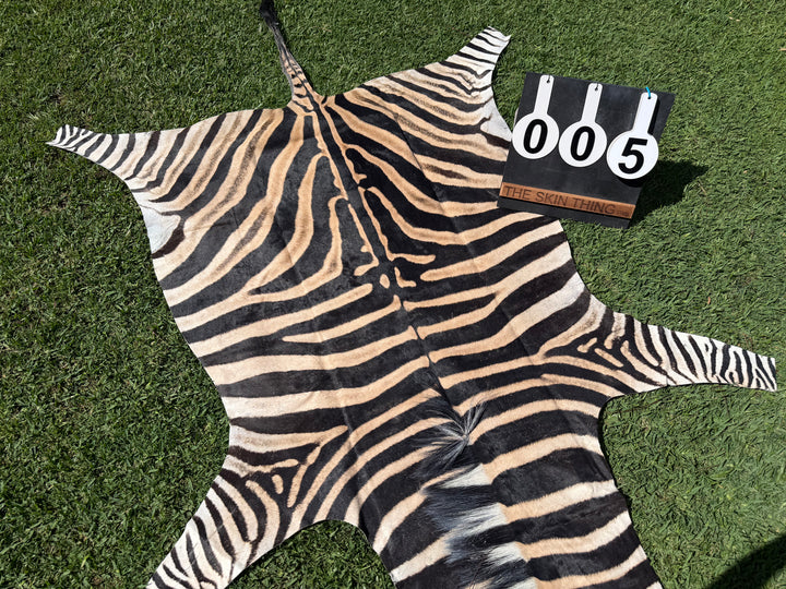 005 Specialty Skin - South African Zebra Skin (Real)