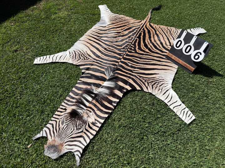 006 Specialty Skin - South African Zebra Skin (Real)