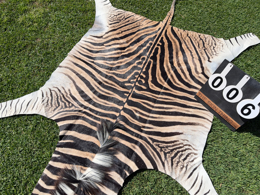 006 Specialty Skin - South African Zebra Skin (Real)