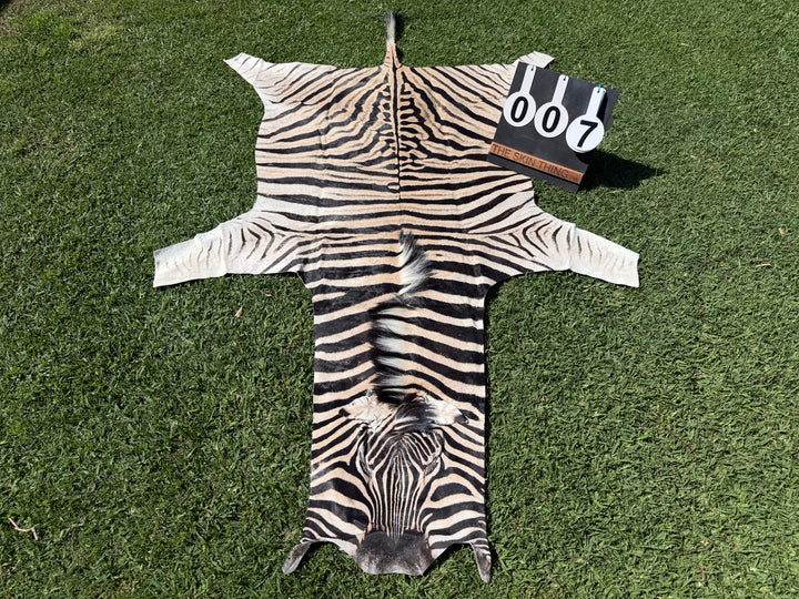007 Specialty Skin - South African Zebra Skin (Real)