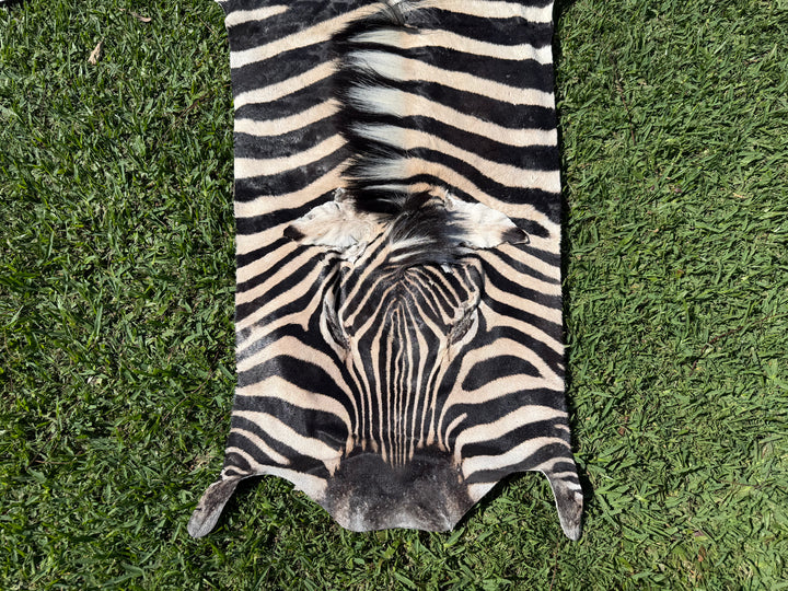 007 Specialty Skin - South African Zebra Skin (Real)