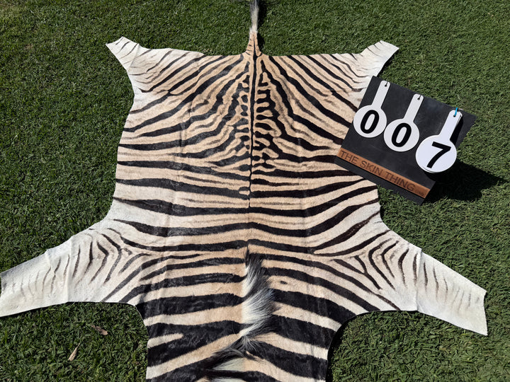 007 Specialty Skin - South African Zebra Skin (Real)