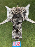 Specialty Skin - South African Zebra Skin (Real) 02