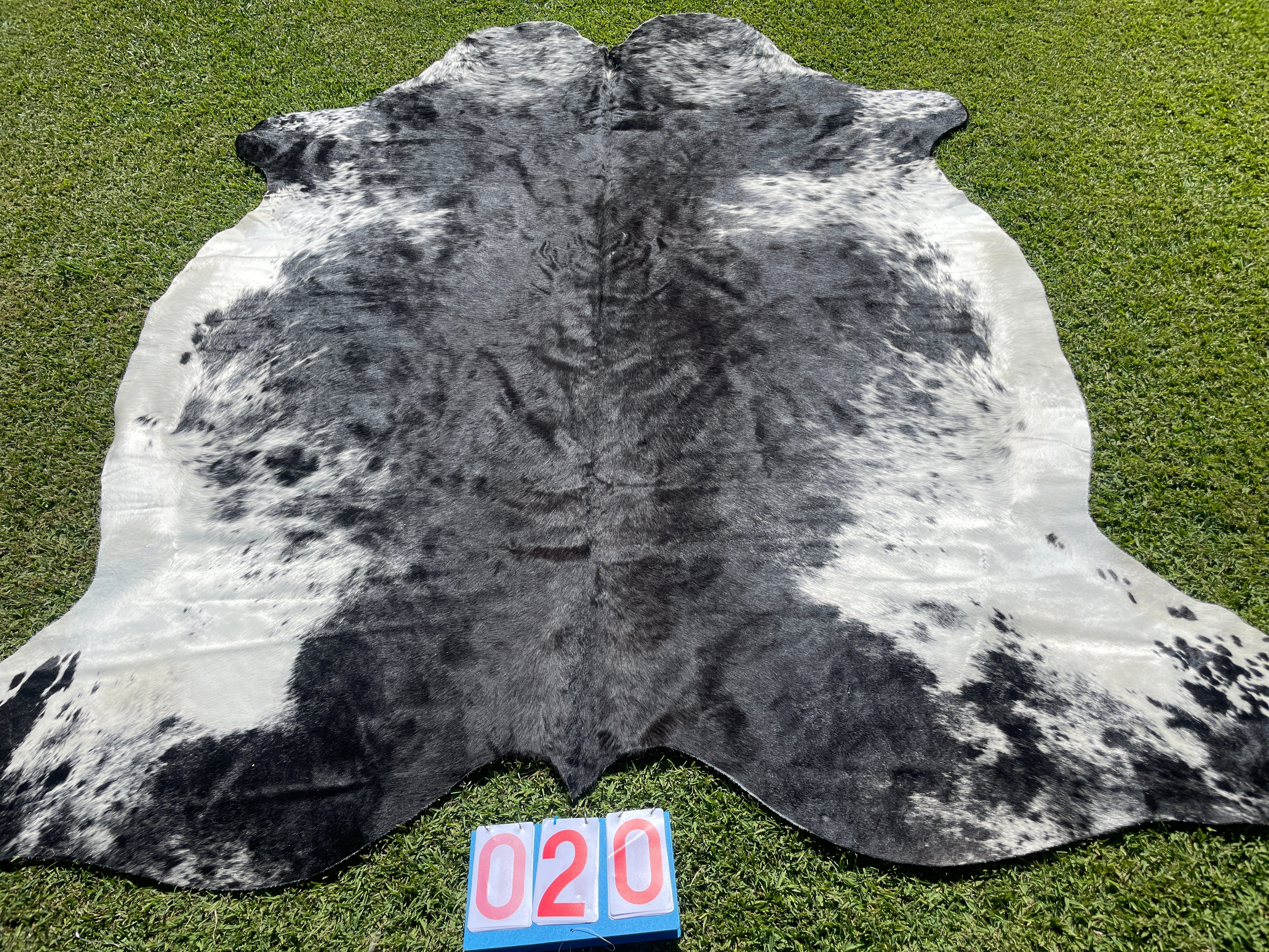 Cowhide 20 Stunning Black and White