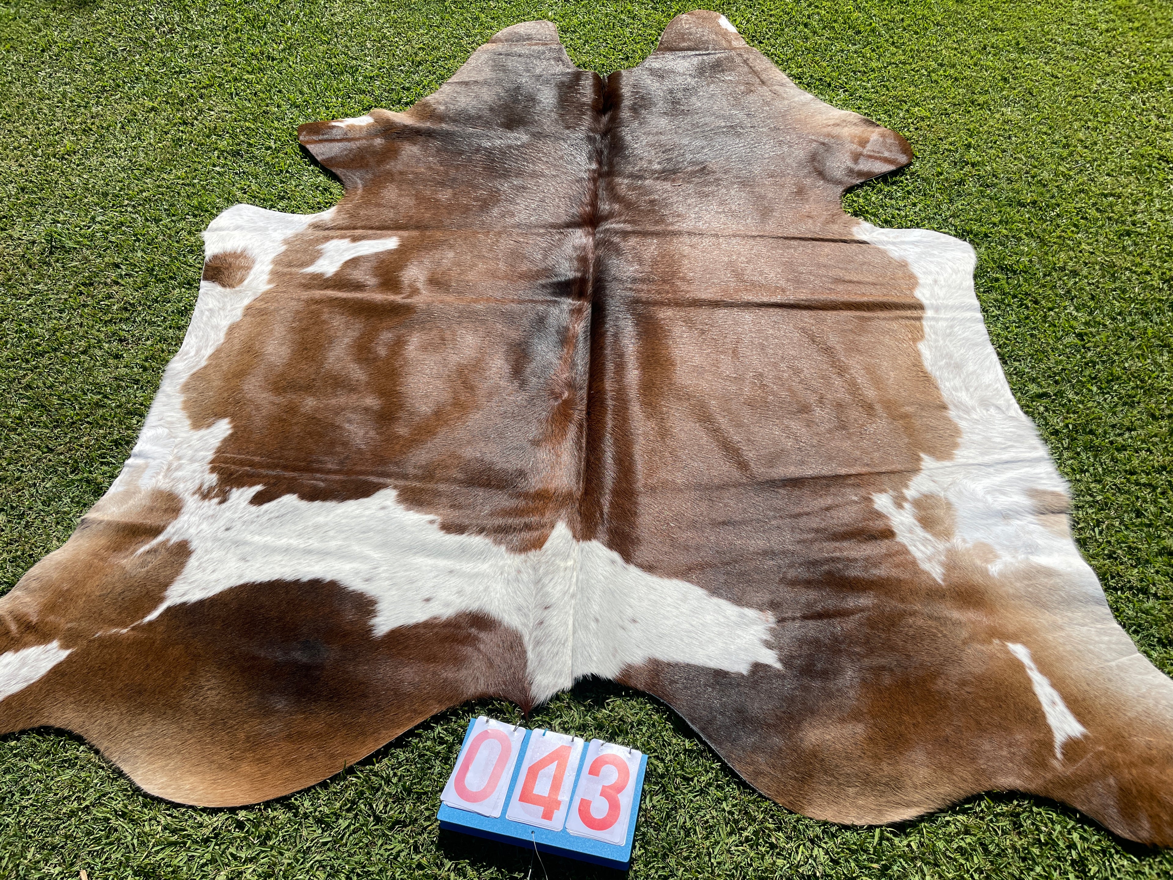 Cowhide 43 Brown & White
