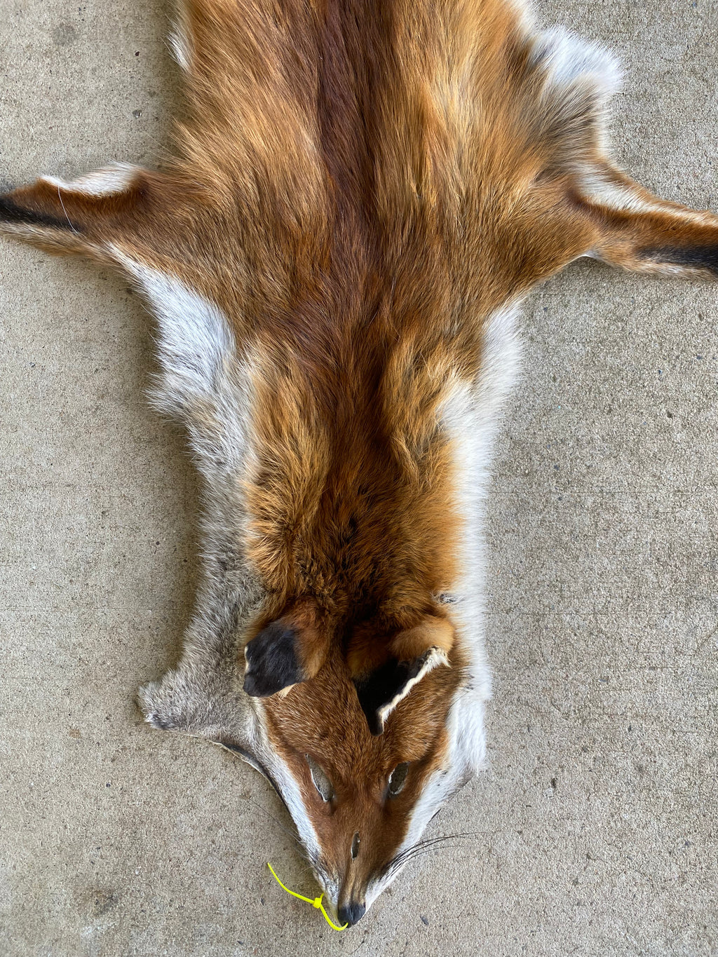 Specialty Skin - Fox Skins