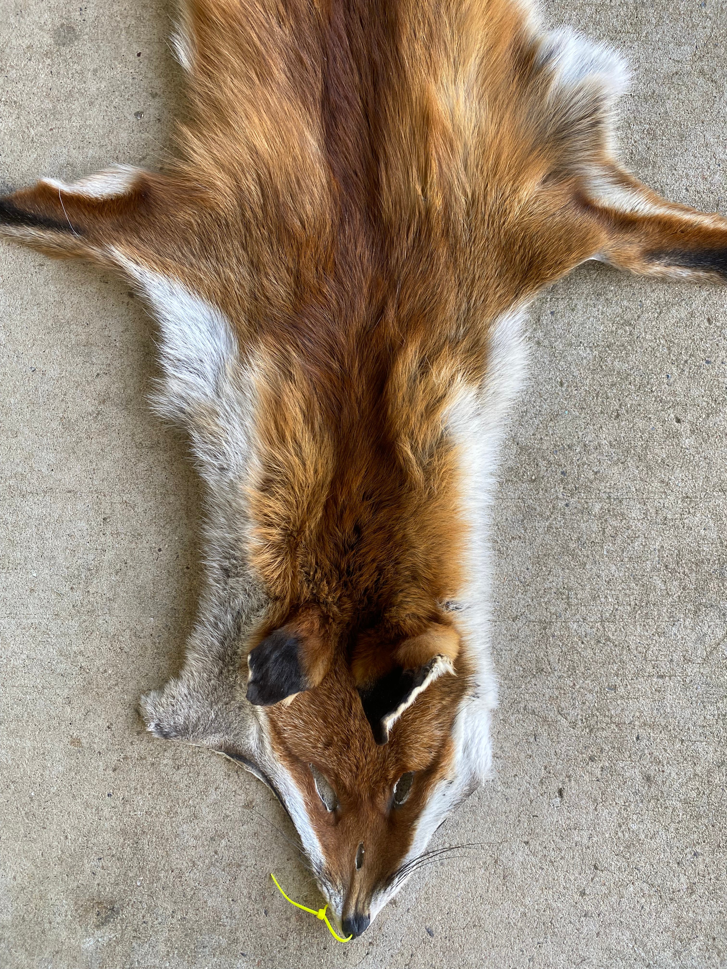 Specialty Skin - Fox Skins