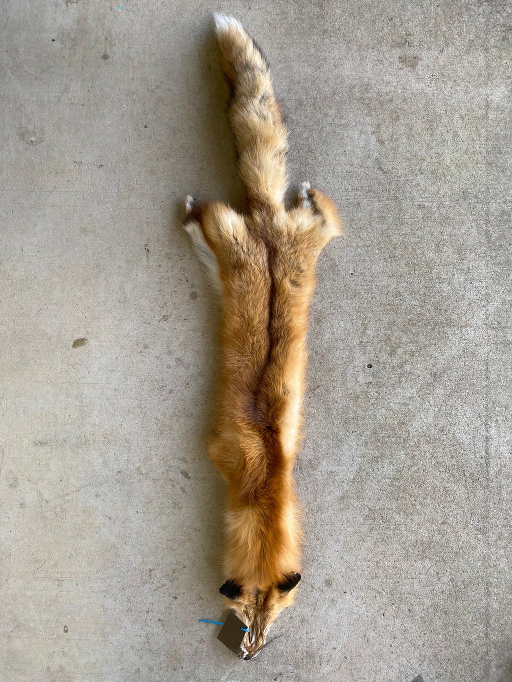 Specialty Skin - Fox Skins