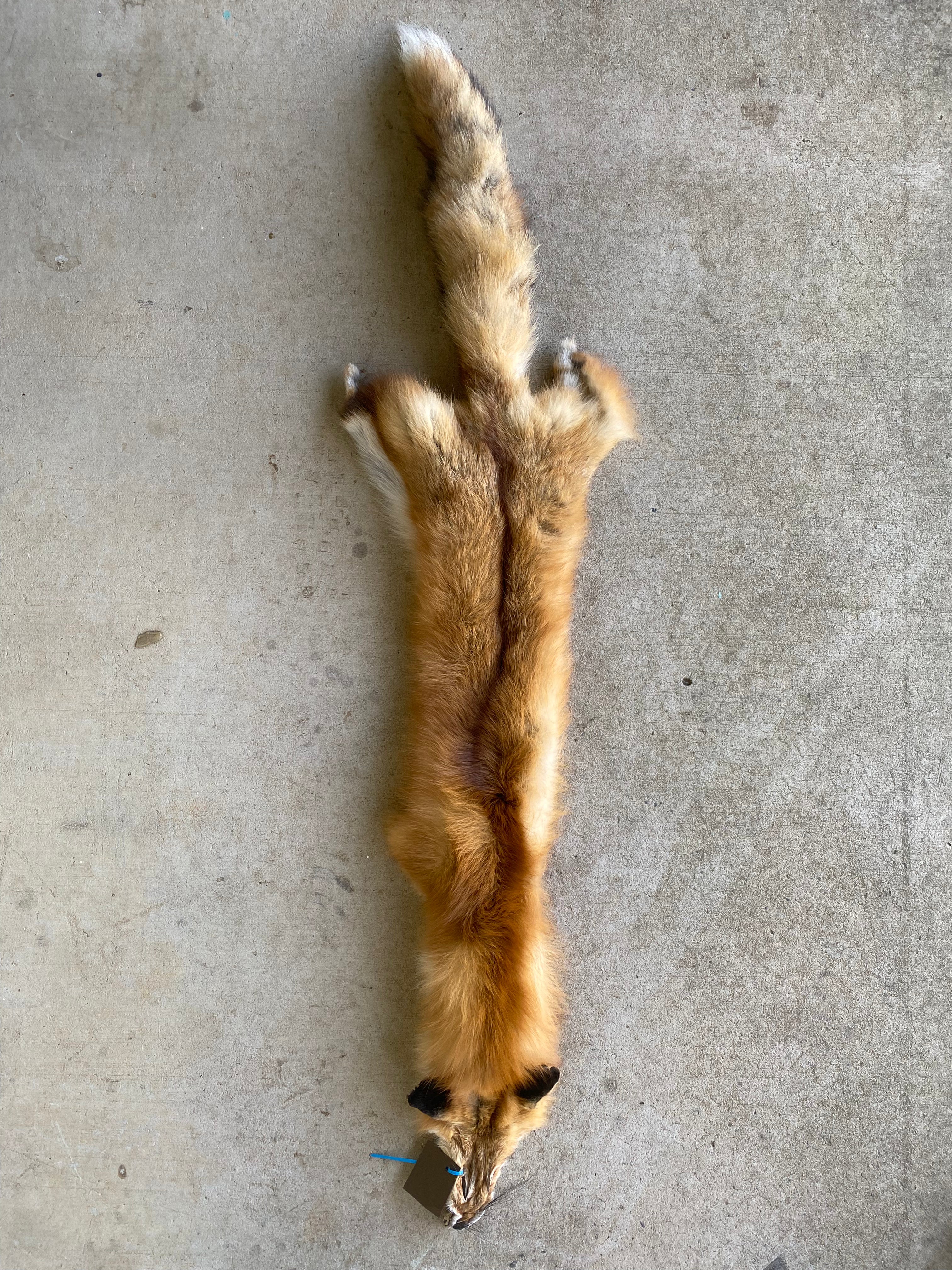 Specialty Skin - Fox Skins