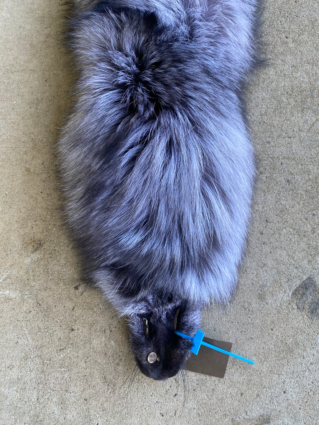 Specialty Skin - Fox Skins