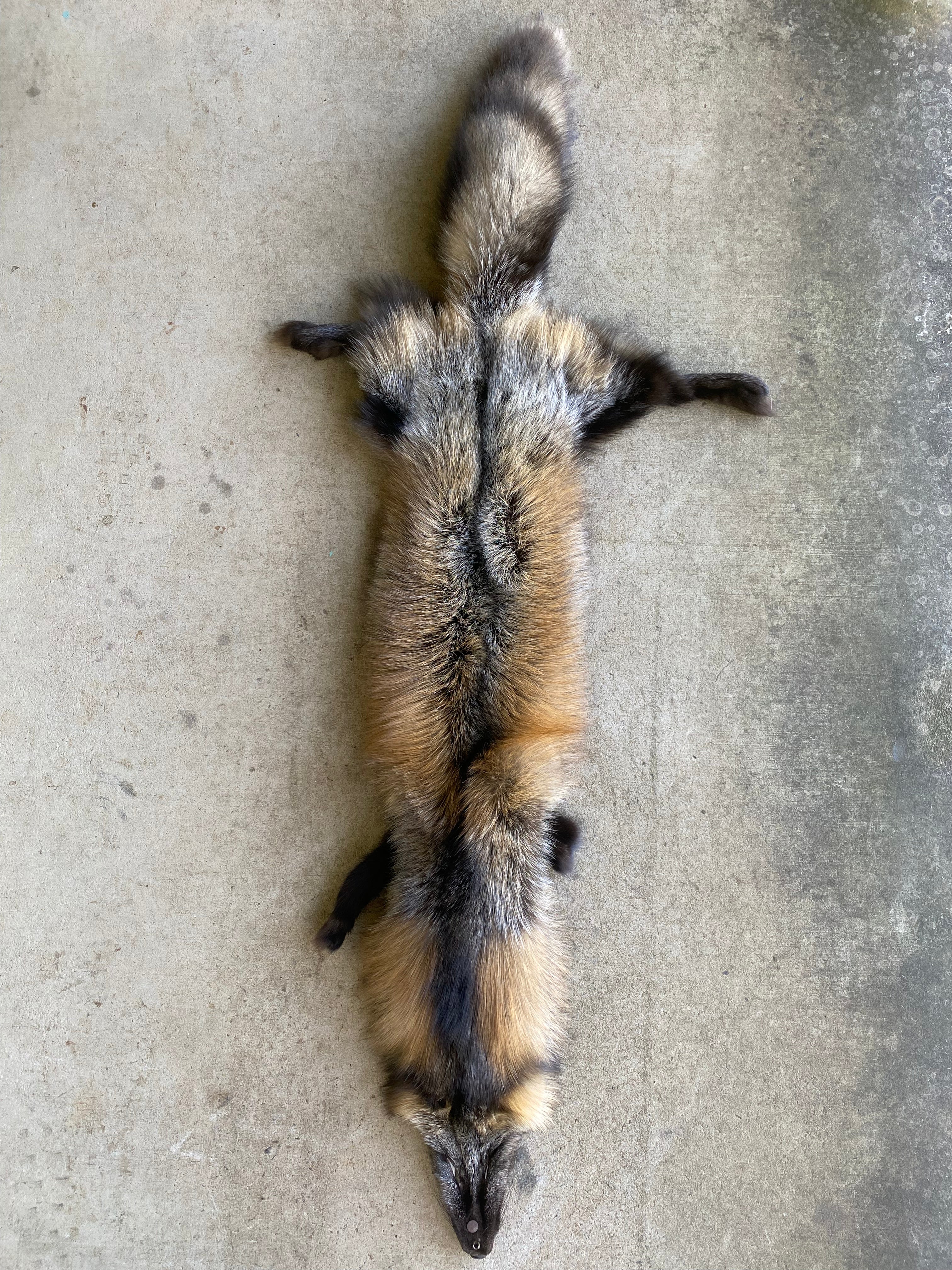 Specialty Skin - Fox Skins