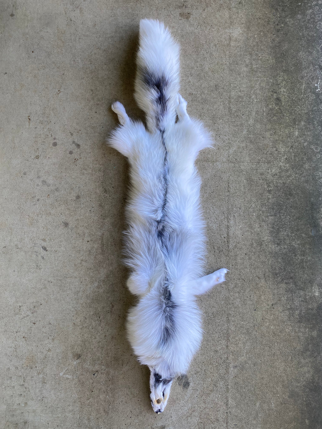 Specialty Skin - Fox Skins