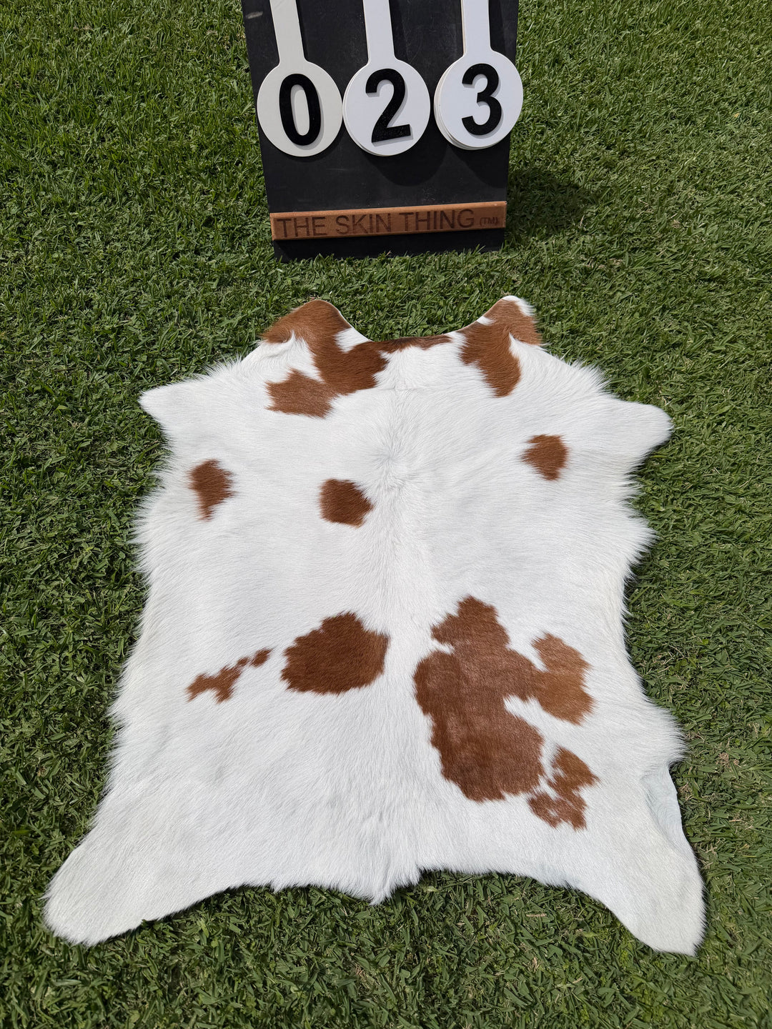Calf Skin 23