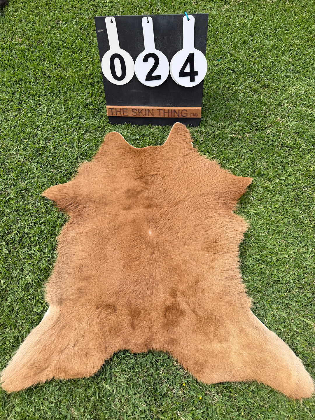 Calf Skin 24