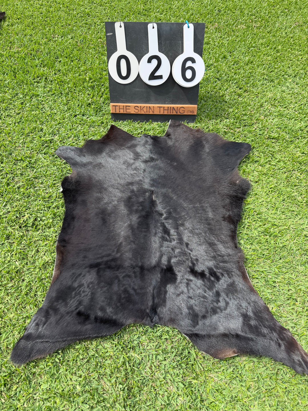 Calf Skin 26