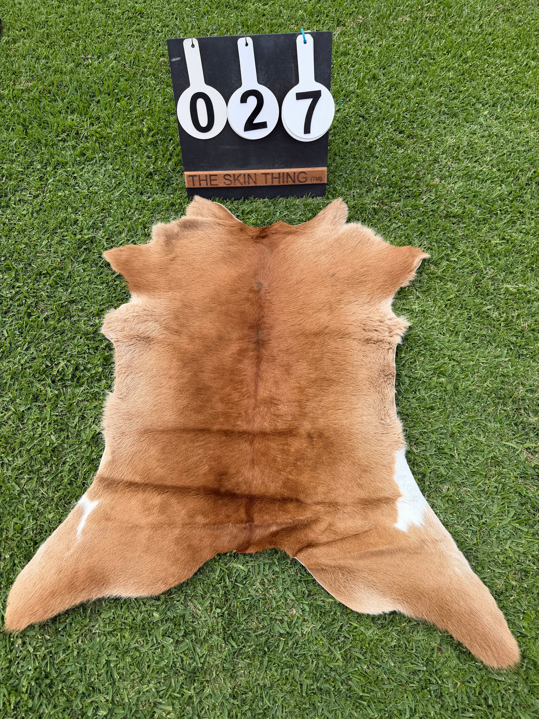 Calf Skin 27