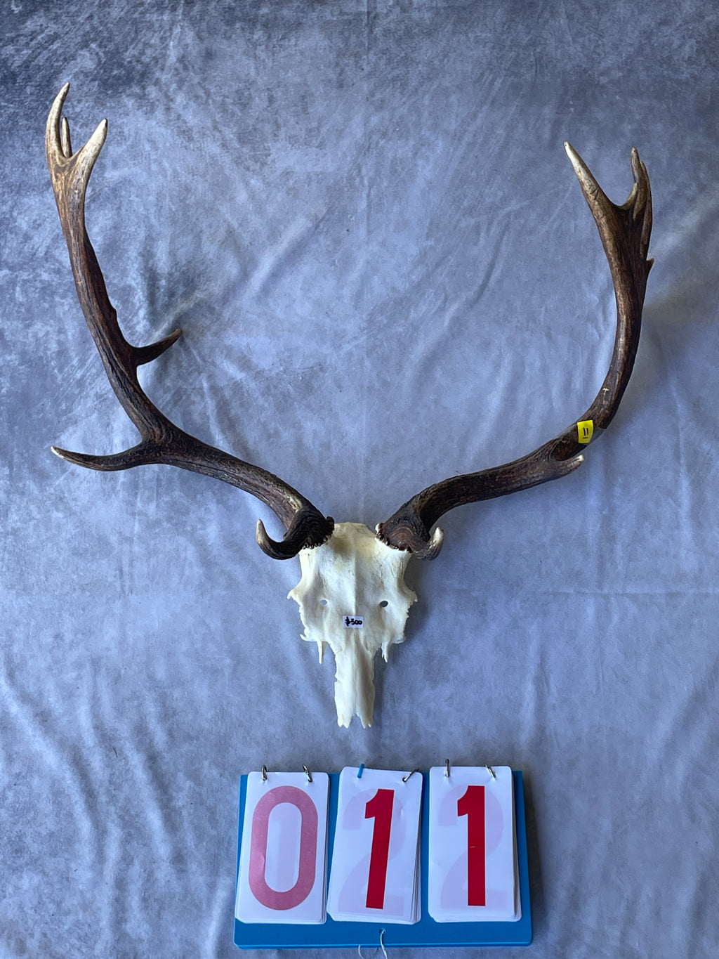 Antler Skull Caps
