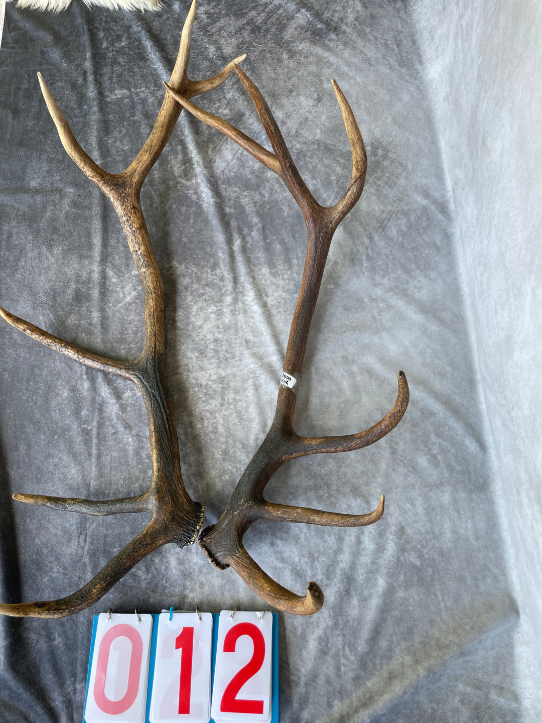 Antlers