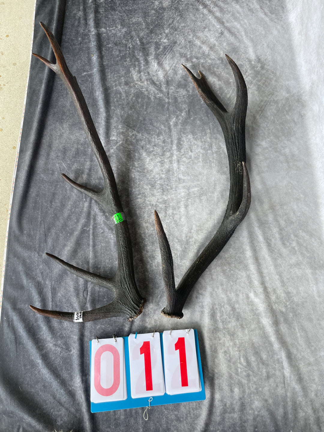 Antlers
