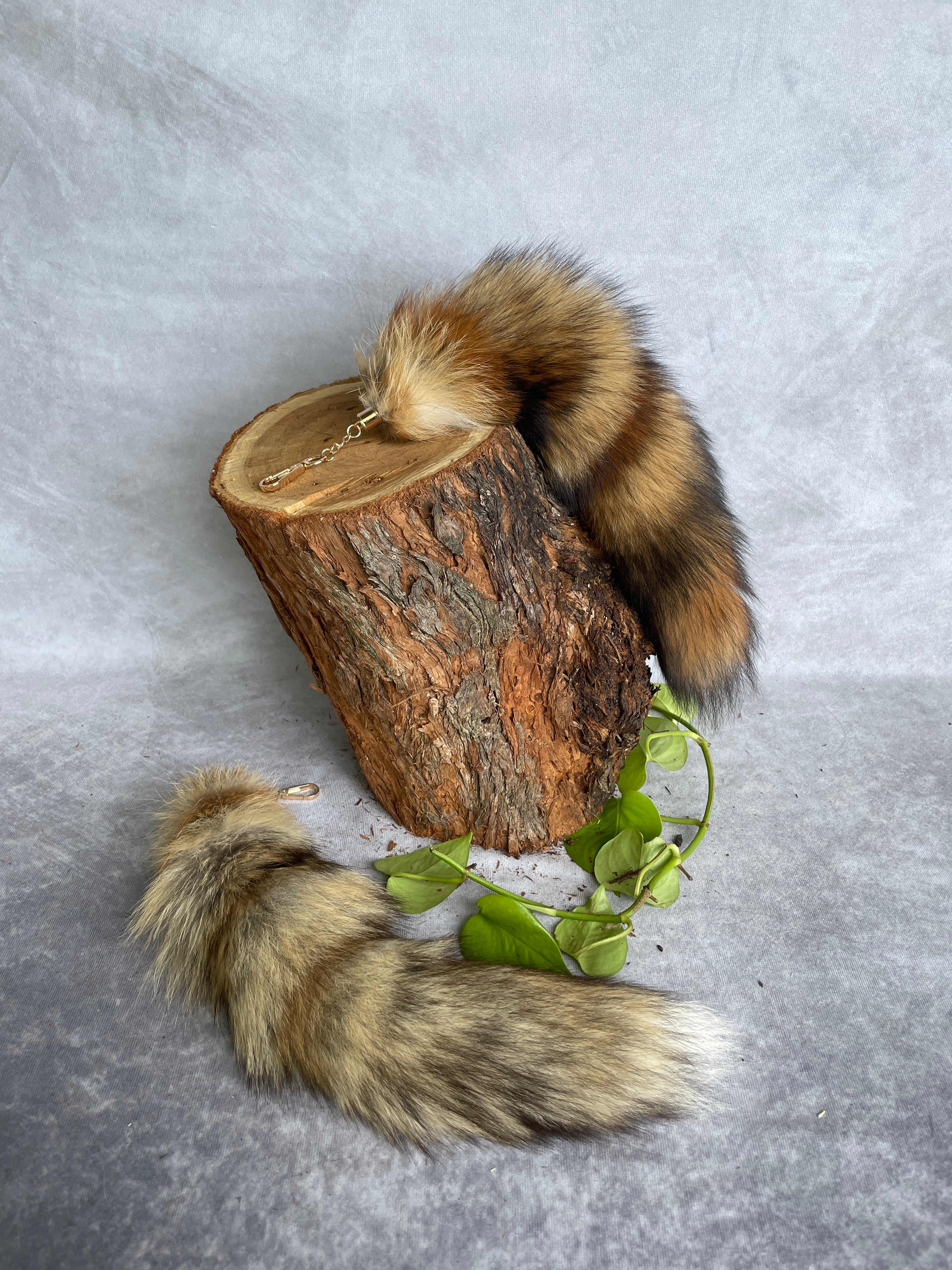 Specialty Skin - Fox Skins