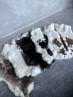 Specialty Skin - Rex Rabbit