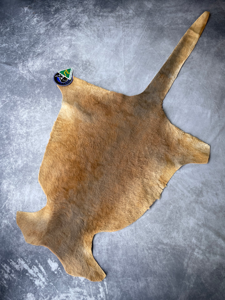 Specialty Skin - Kangaroo
